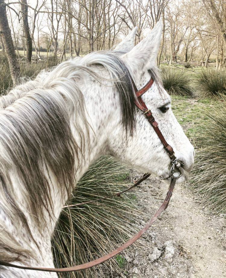 Photo n° 2 de l'avis de Adeline.a fait le 17/02/2022 à 16:29