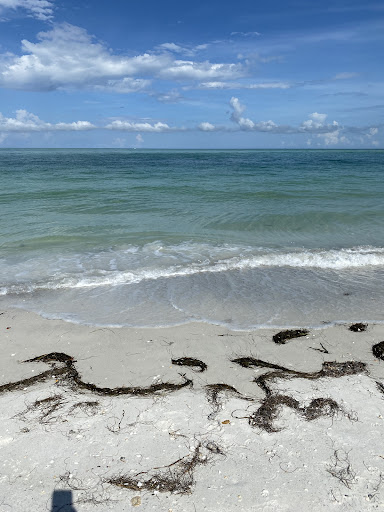 Boat Tour Agency «Adventure Cruises Inc», reviews and photos, 5500 Gulf Blvd, St Pete Beach, FL 33706, USA