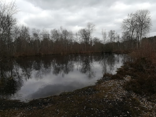 Mare des Coquibus à Milly-la-Forêt