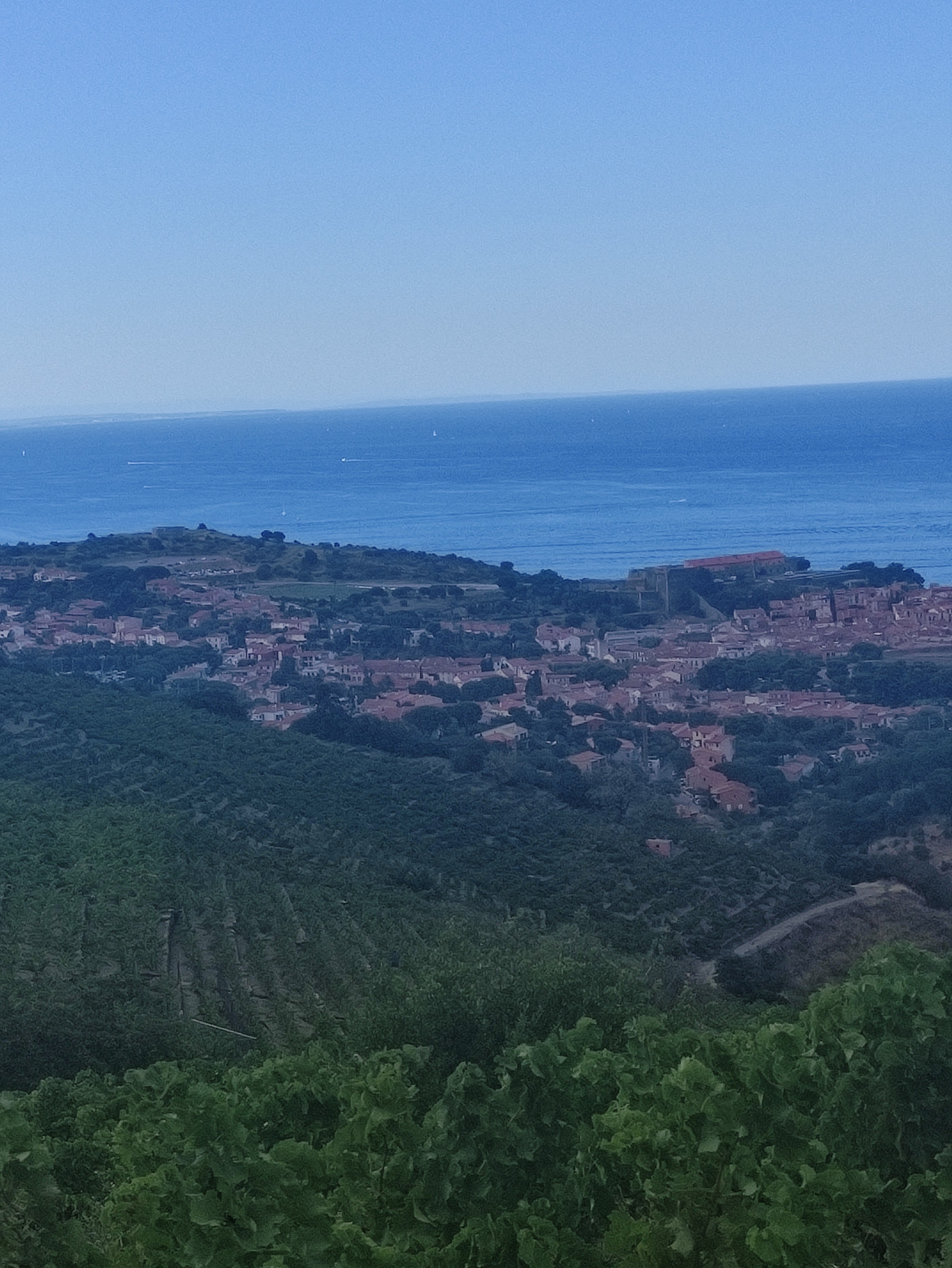 Photo n° 1 de l'avis de Bettina.u fait le 15/08/2022 à 16:05