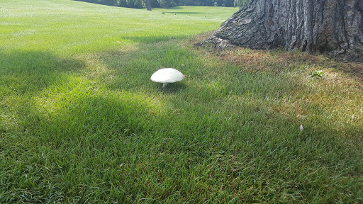 Country Club «Oak Hill Country Club», reviews and photos, 145 Kilbourn Rd, Rochester, NY 14618, USA