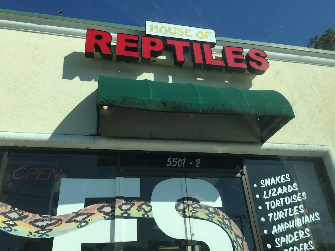 The House Of Reptiles