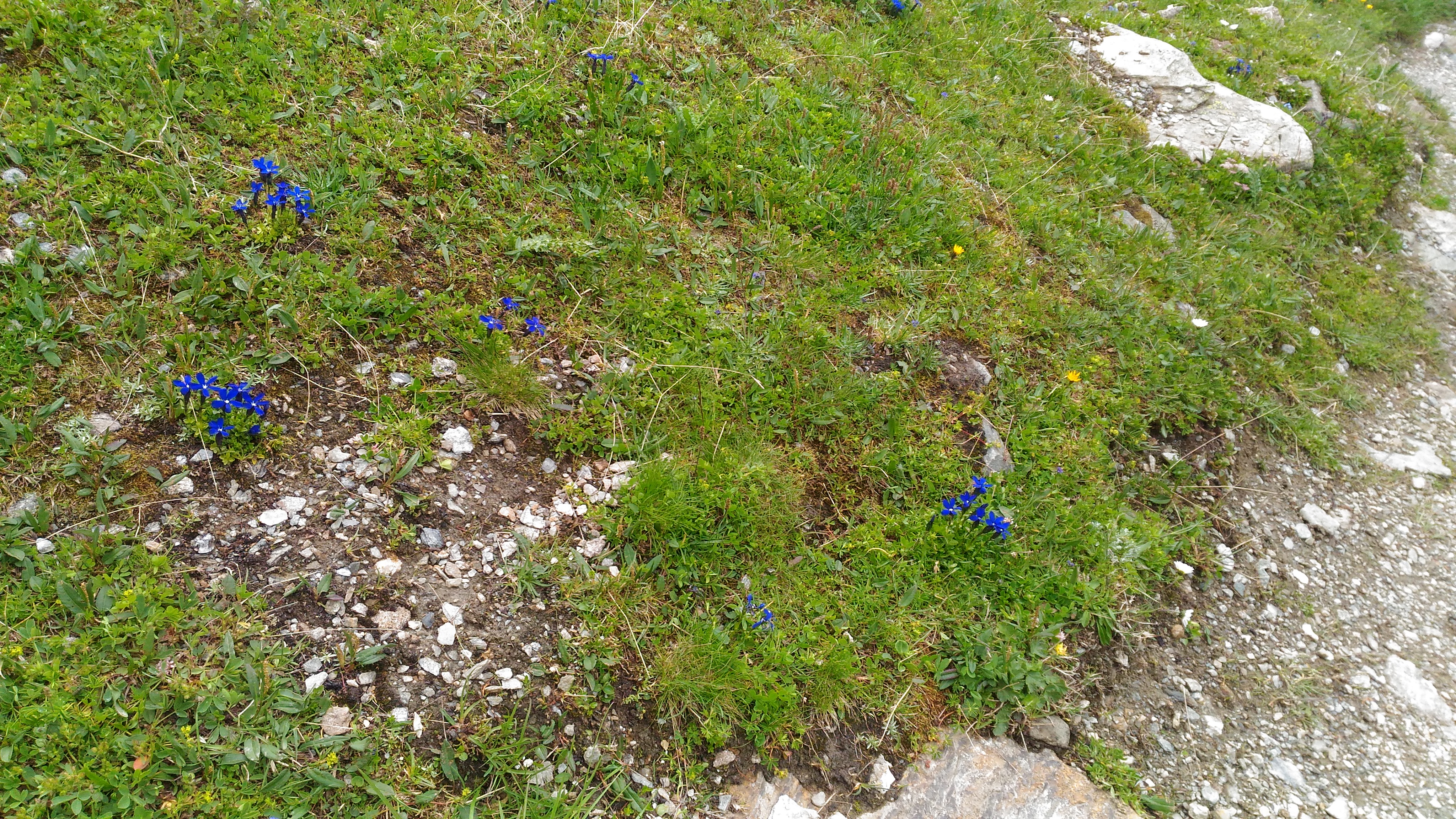 Photo n° 18 de l'avis de CHRIST. fait le 25/07/2018 à 18:05