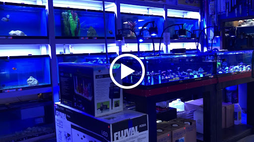 Pet Supply Store «Pets Plus», reviews and photos, 123 Nashua Rd #7, Londonderry, NH 03053, USA