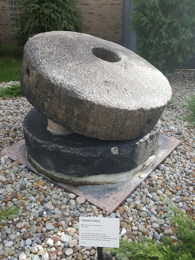 Historical Society «Western Reserve Historical Society», reviews and photos, 10825 East Blvd, Cleveland, OH 44106, USA