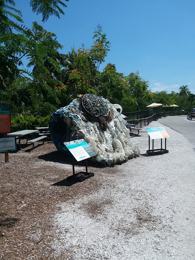 Park «Zinkil Park», reviews and photos, 5451 Washington St, Hollywood, FL 33021, USA