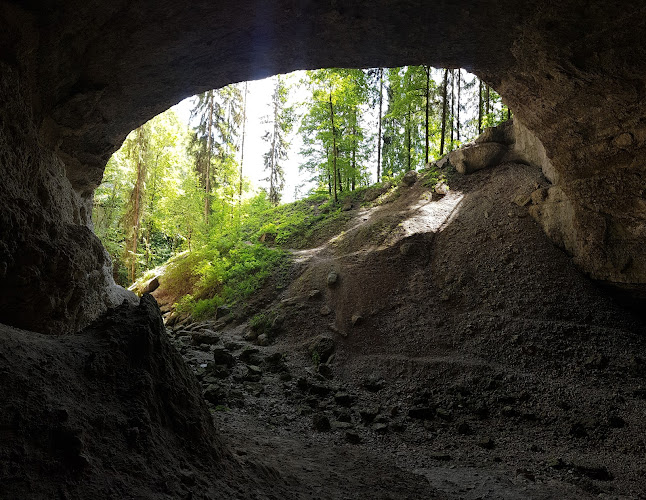 Rezensionen über Grotte du Trésor in Val-de-Travers NE - Kulturzentrum
