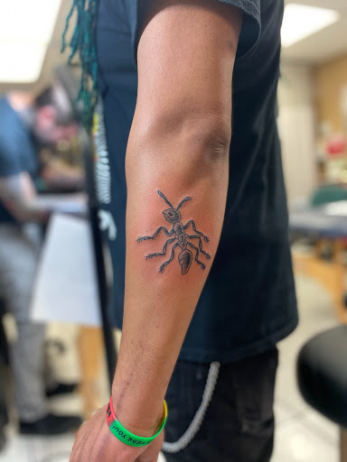 Tattoo Shop «Tomato Tattoo in Lisle, IL», reviews and photos, 1205 Maple Ave, Lisle, IL 60532, USA