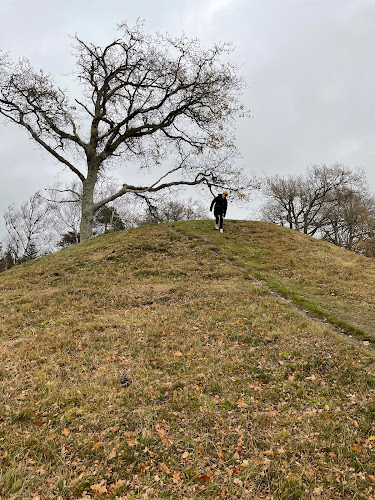 Harehøje - Tisvilde Hegn - Museum