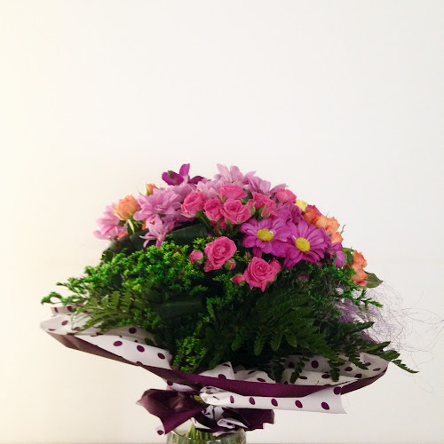 Floraria Anaflor - <nil>