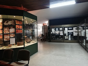 Исторически музей - Правец
