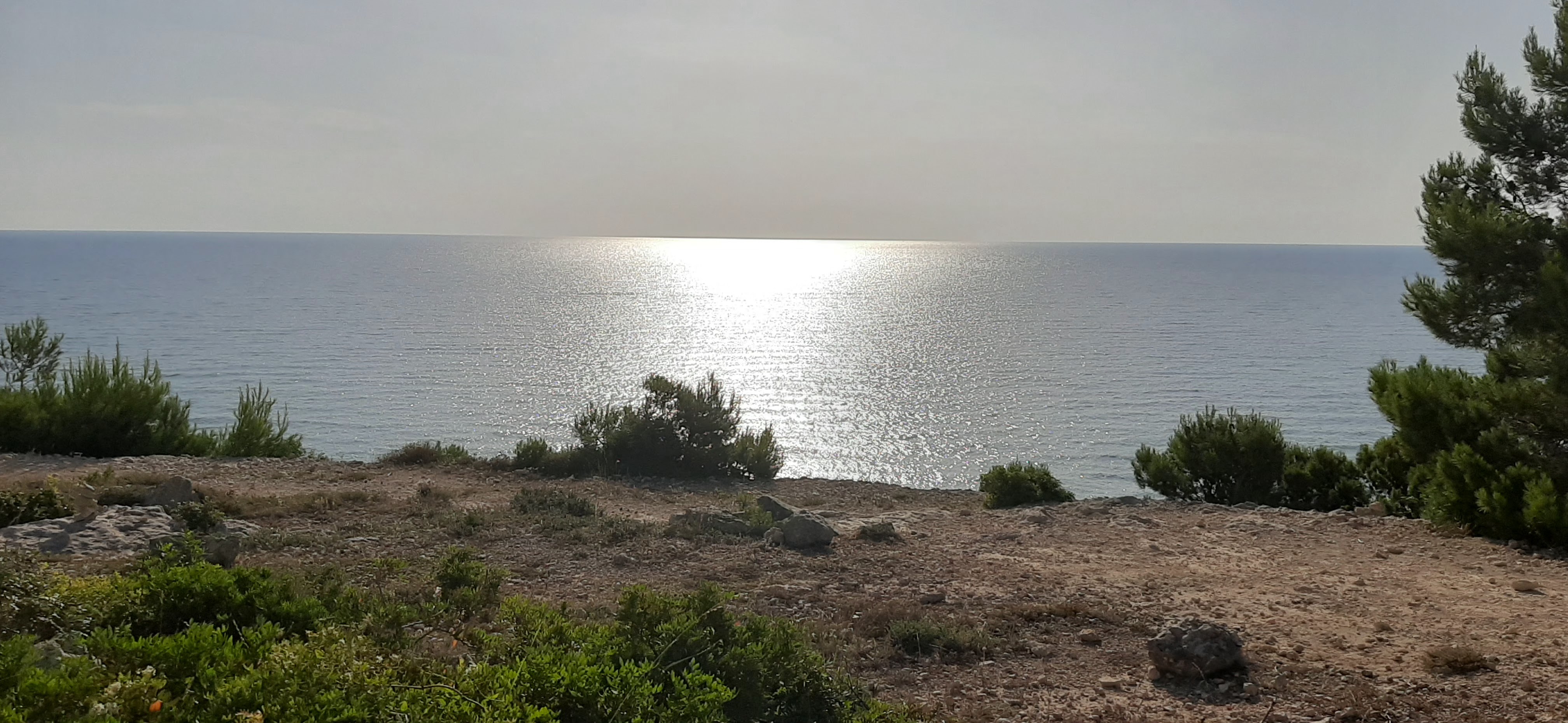 Photo n° 3 de l'avis de Moncef.u fait le 24/07/2019 à 18:09