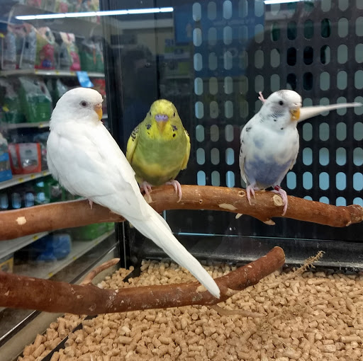 Pet Supply Store «PetSmart», reviews and photos, 3425 Amelia Dr, Orchard Park, NY 14127, USA