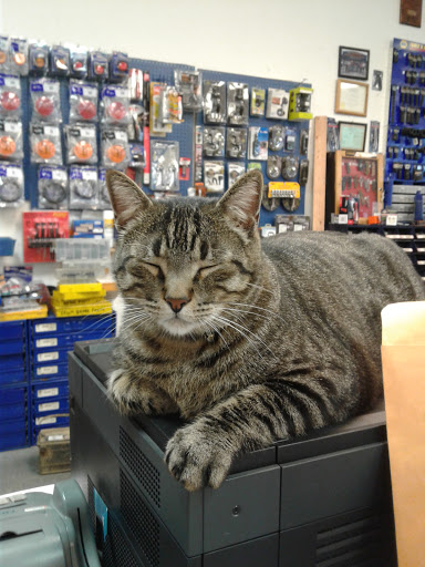 Auto Parts Store «NAPA Auto Parts - Leissner Auto Parts», reviews and photos, 270 E San Antonio St, New Braunfels, TX 78130, USA