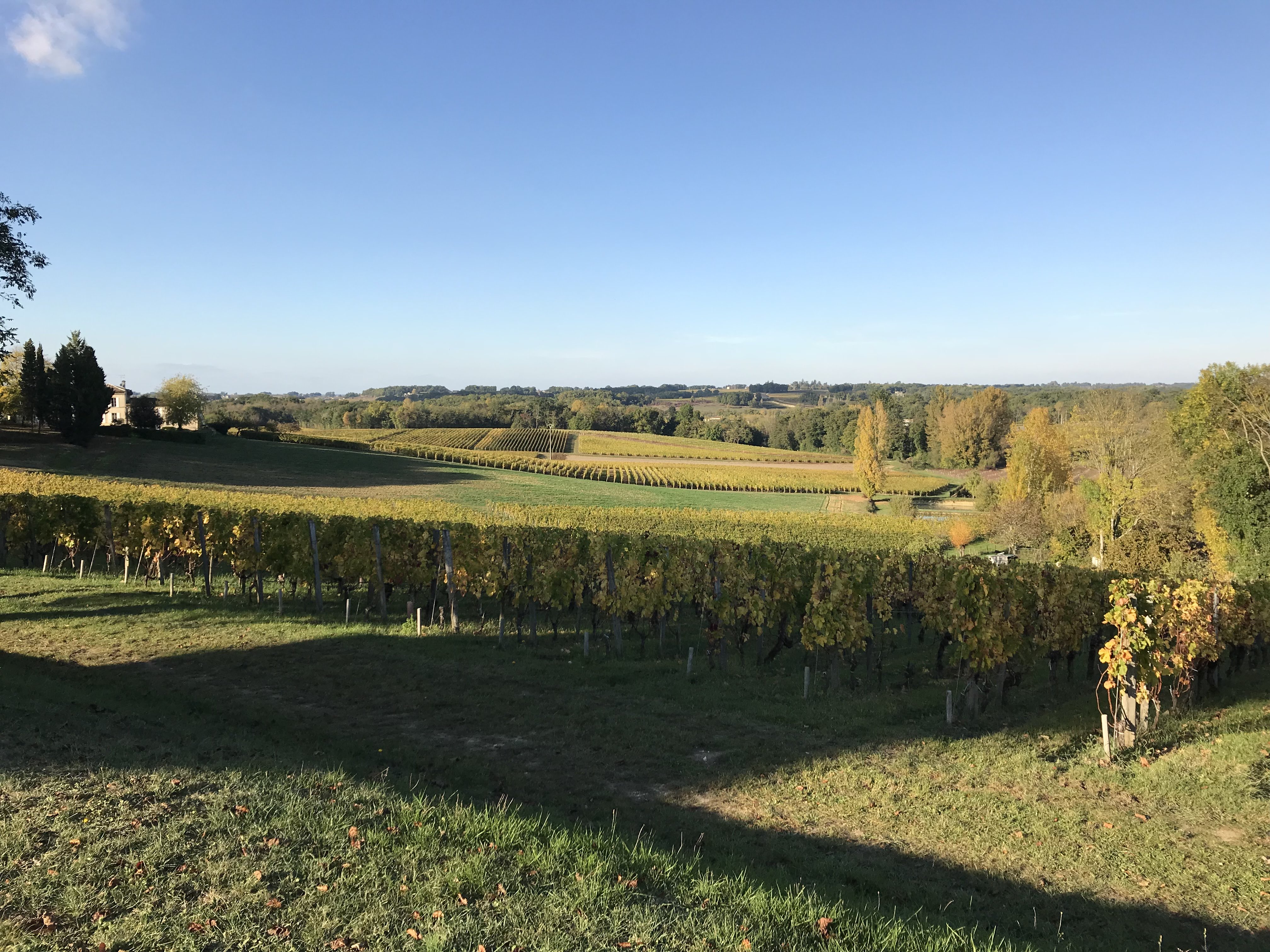 Photo n° 5 de l'avis de Keisuke. fait le 29/10/2017 à 20:42