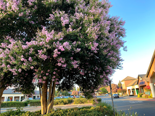 Shopping Mall «Vacaville Premium Outlets», reviews and photos, 321 Nut Tree Rd, Vacaville, CA 95687, USA