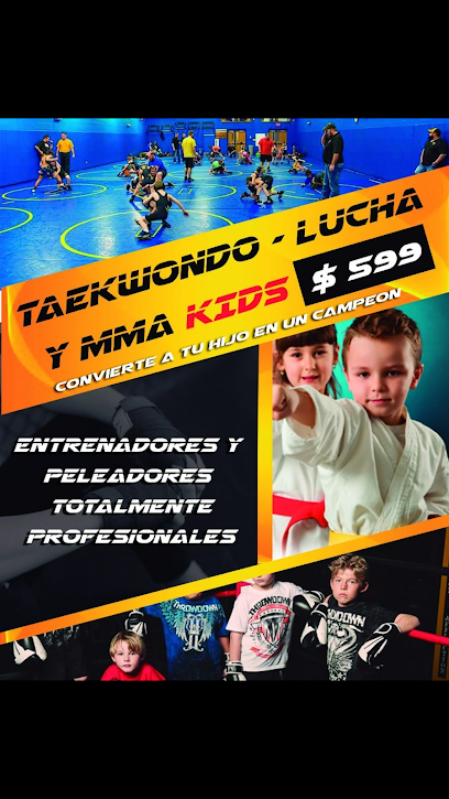 LION TEAM GYM MMA & FITNESS - Carr Querétaro-Chichimequillas 1025, Constituyentes, 76147 Santiago de Querétaro, Qro., Mexico