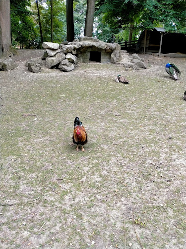 Zoo du jardin public à Saint-Omer