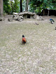 Zoo du jardin public Saint-Omer