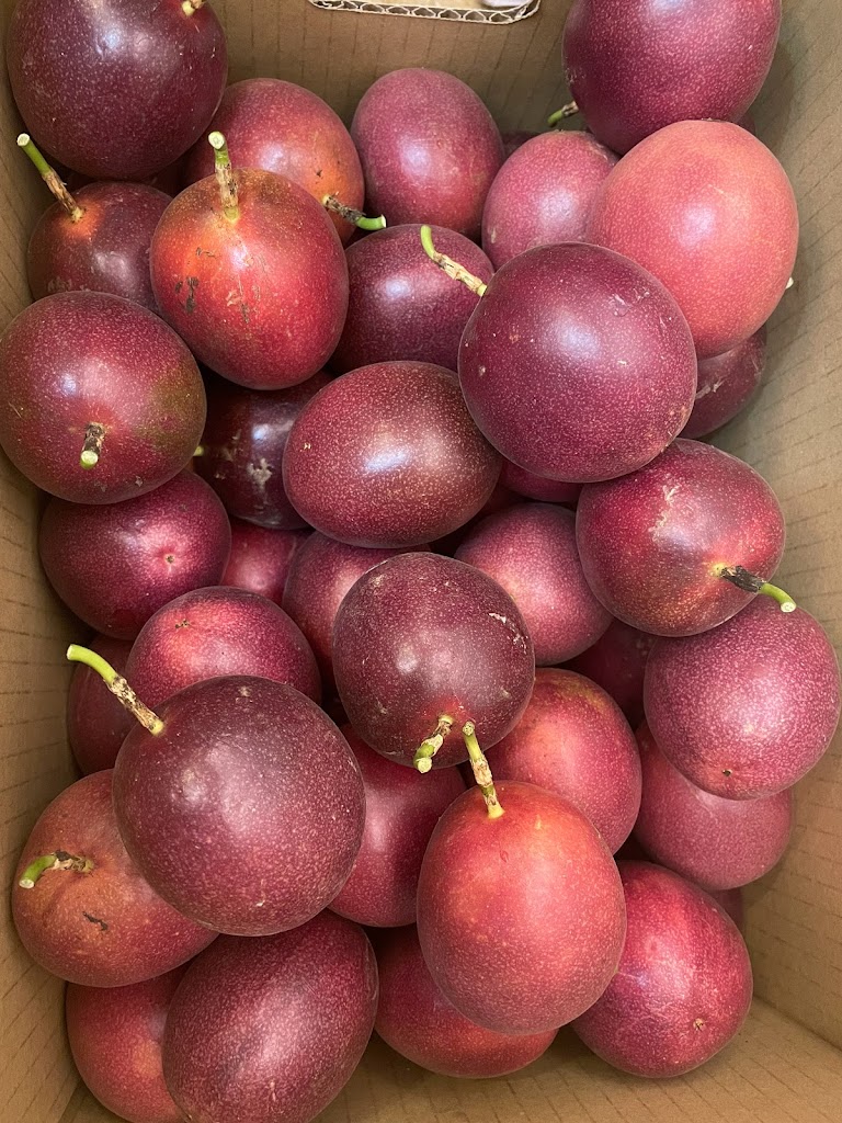 三重奏黑糖鮮奶粉圓 的照片