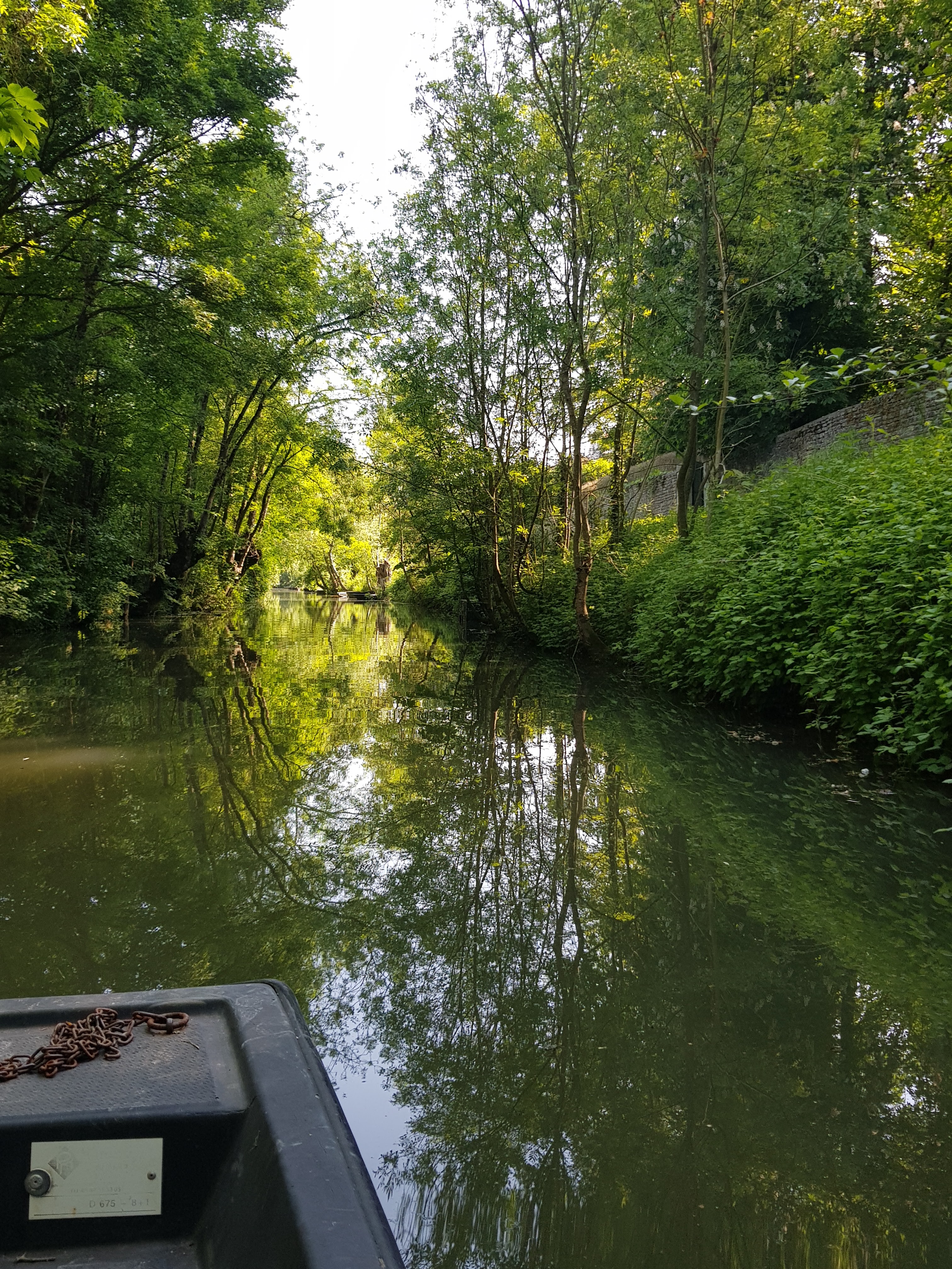 Photo n° 5 de l'avis de Marielle.e fait le 21/05/2022 à 15:56