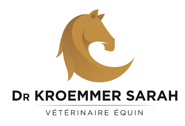 Beoordelingen van Kroemmer Sarah in Aarlen - Dierenarts