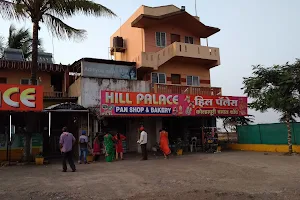 Hotel Hill Palace image