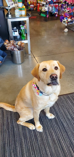 Pet Supply Store «Pawpular Companions Pet Supplies», reviews and photos, 21950 E Country Vista Dr, Liberty Lake, WA 99019, USA