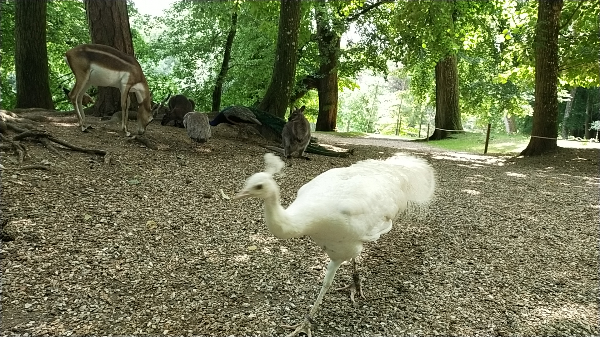 Photo n° 6 de l'avis de Amandine.a fait le 03/07/2023 à 22:00