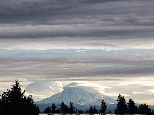 Youth Organization «YMCA», reviews and photos, 9715 Lakewood Dr SW, Lakewood, WA 98499, USA