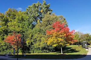 University of Michigan-Dearborn image