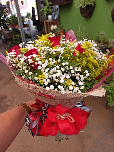 Floricultura Plante Uma Flor - Goiânia