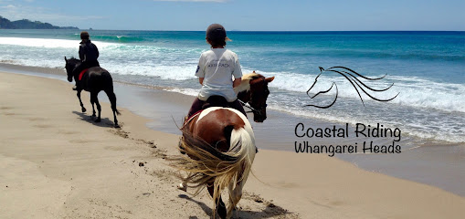 Coastal Riding Whangarei Heads