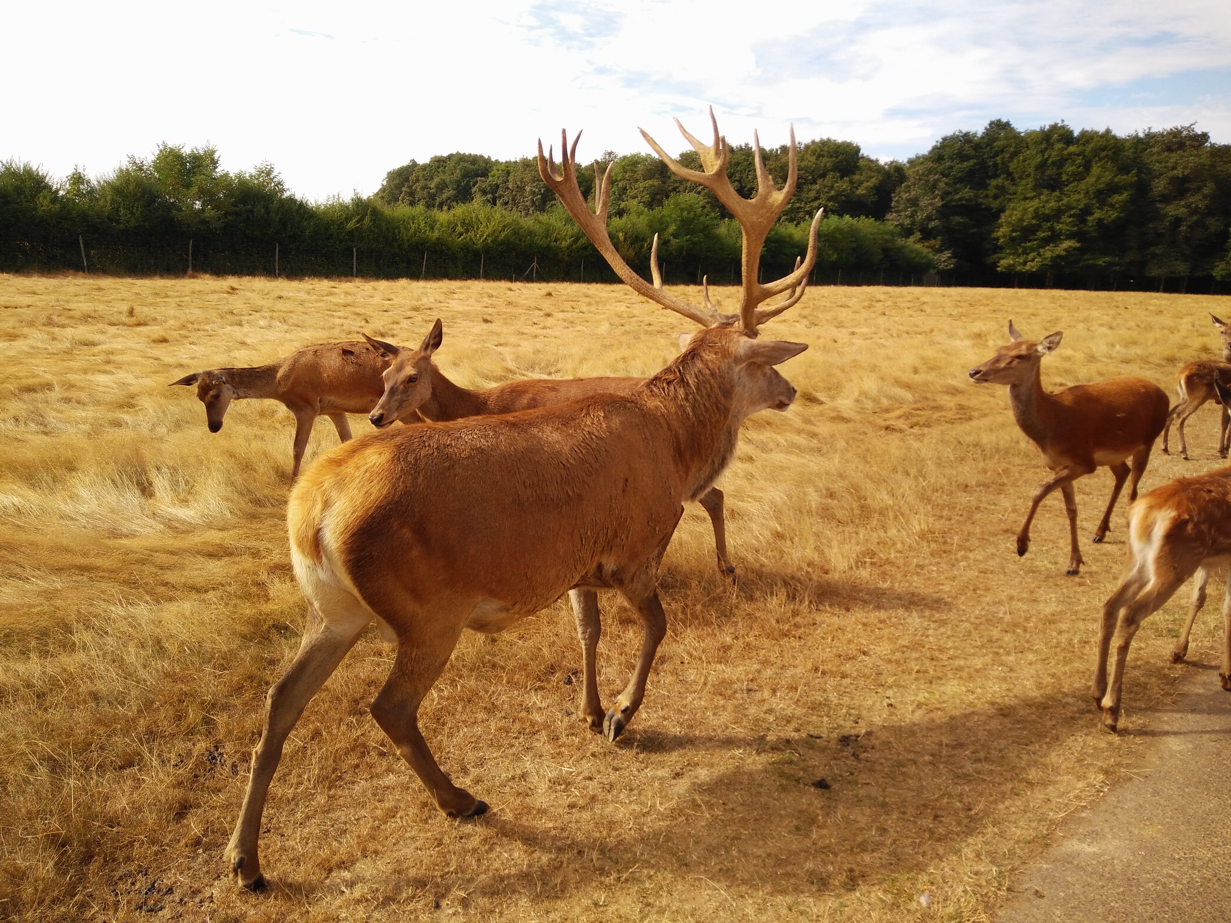 Photo n° 6 de l'avis de Steph.P fait le 23/08/2016 à 10:59