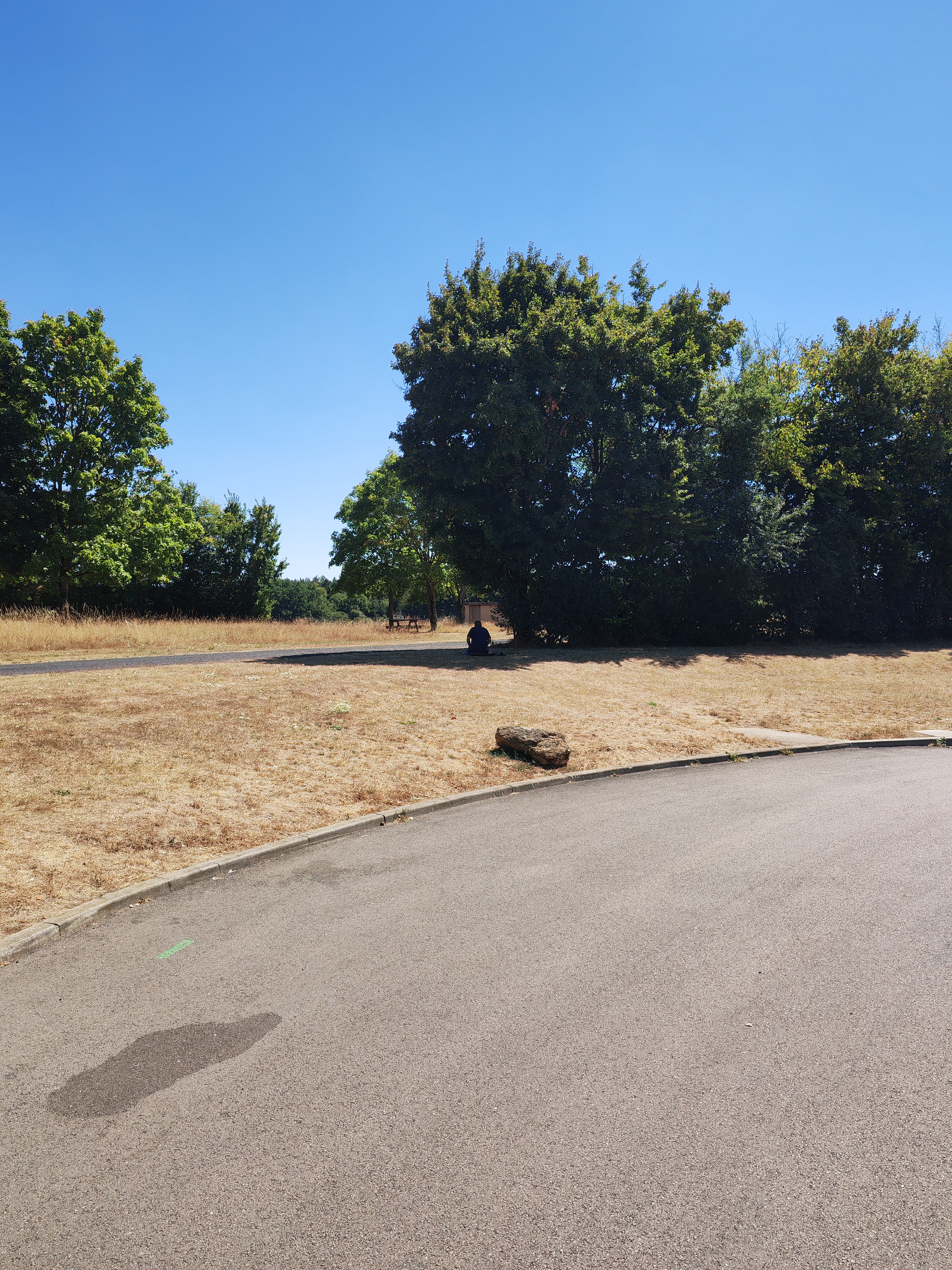 Photo n° 15 de l'avis de Horst.e fait le 03/08/2022 à 12:26