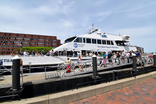 Aquarium «New England Aquarium», reviews and photos, 1 Central Wharf, Boston, MA 02110, USA