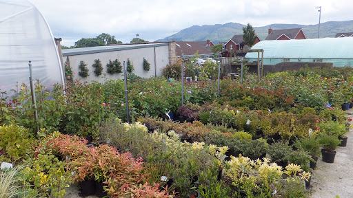 Moygannon Garden Centre Ltd