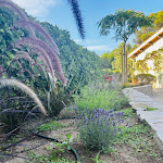 Photo n° 7 de l'avis de Jérôme. fait le 14/02/2024 à 13:05 pour GARDEN SERVICES 34 à Castries