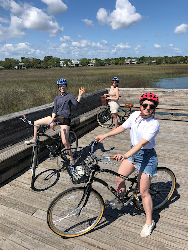 Bicycle Store «Affordabike Bicycle Shop», reviews and photos, 573 King St, Charleston, SC 29403, USA