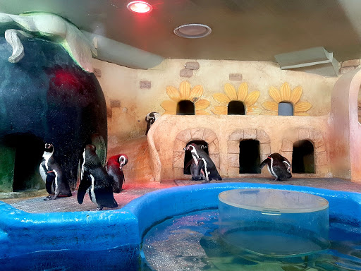 Coex Aquarium