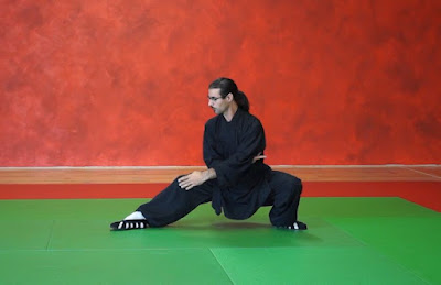Wushu-Aikido Tarn à Fauch