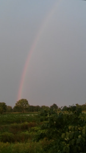 Vineyard «Vermilion Valley Vineyards», reviews and photos, 11005 Gore Orphanage Rd, Wakeman, OH 44889, USA