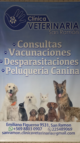 Clínica Veterinaria San Ramón - San Ramón
