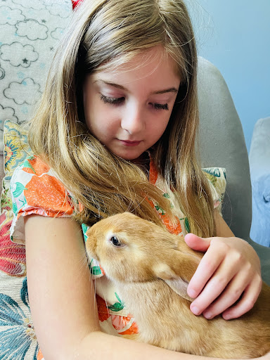 Pet Store «Planet Pet», reviews and photos, 1093 W Eads Pkwy, Lawrenceburg, IN 47025, USA