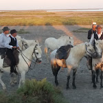 Photo n° 1 de l'avis de Andree.o fait le 26/07/2017 à 20:04 pour Les Cabanes de Cacharel à Saintes-Maries-de-la-Mer