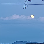 Photo n°1 de l'avis de Alessandra.i fait le 13/07/2022 à 12:45 sur le  Agriturismo Villa Bracali à Serravalle Pistoiese