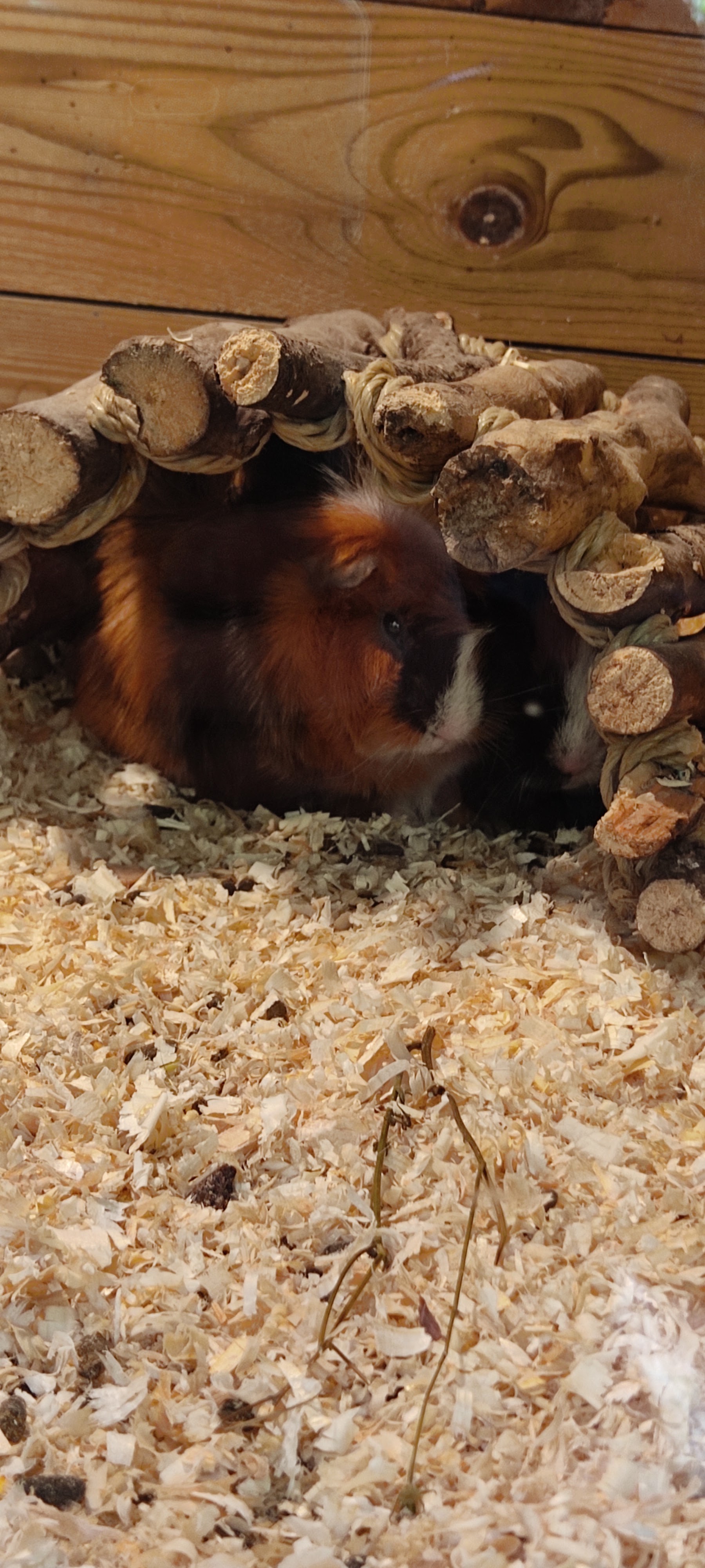 Photo n° 3 de l'avis de Galache.a fait le 27/10/2021 à 15:35