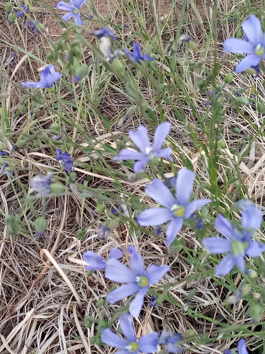 Park «Olympic Park», reviews and photos, 15501 E Yale Ave, Aurora, CO 80013, USA