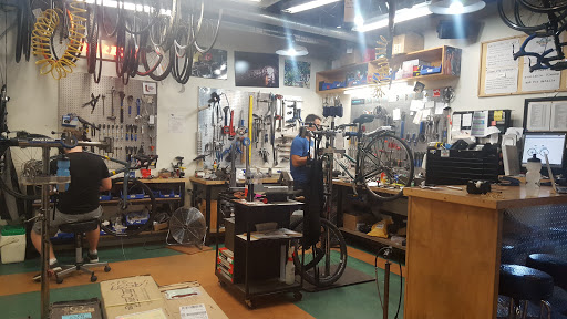 Bicycle Store «Full Moon Vista Bike & Sport», reviews and photos, 1239 University Ave, Rochester, NY 14607, USA