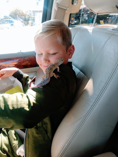 Pet Store «Windy City Pet Store», reviews and photos, 1660 N 4th St m, Laramie, WY 82072, USA